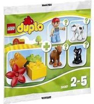 LEGO DUPLO Boerderij Surprise (Polybag) - 30067